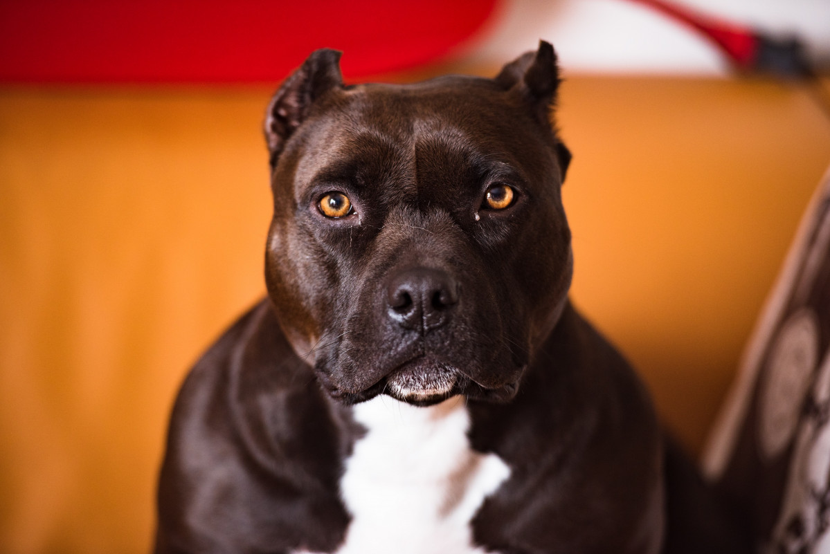 Yohan cho rRVvRaugHLE unsplash