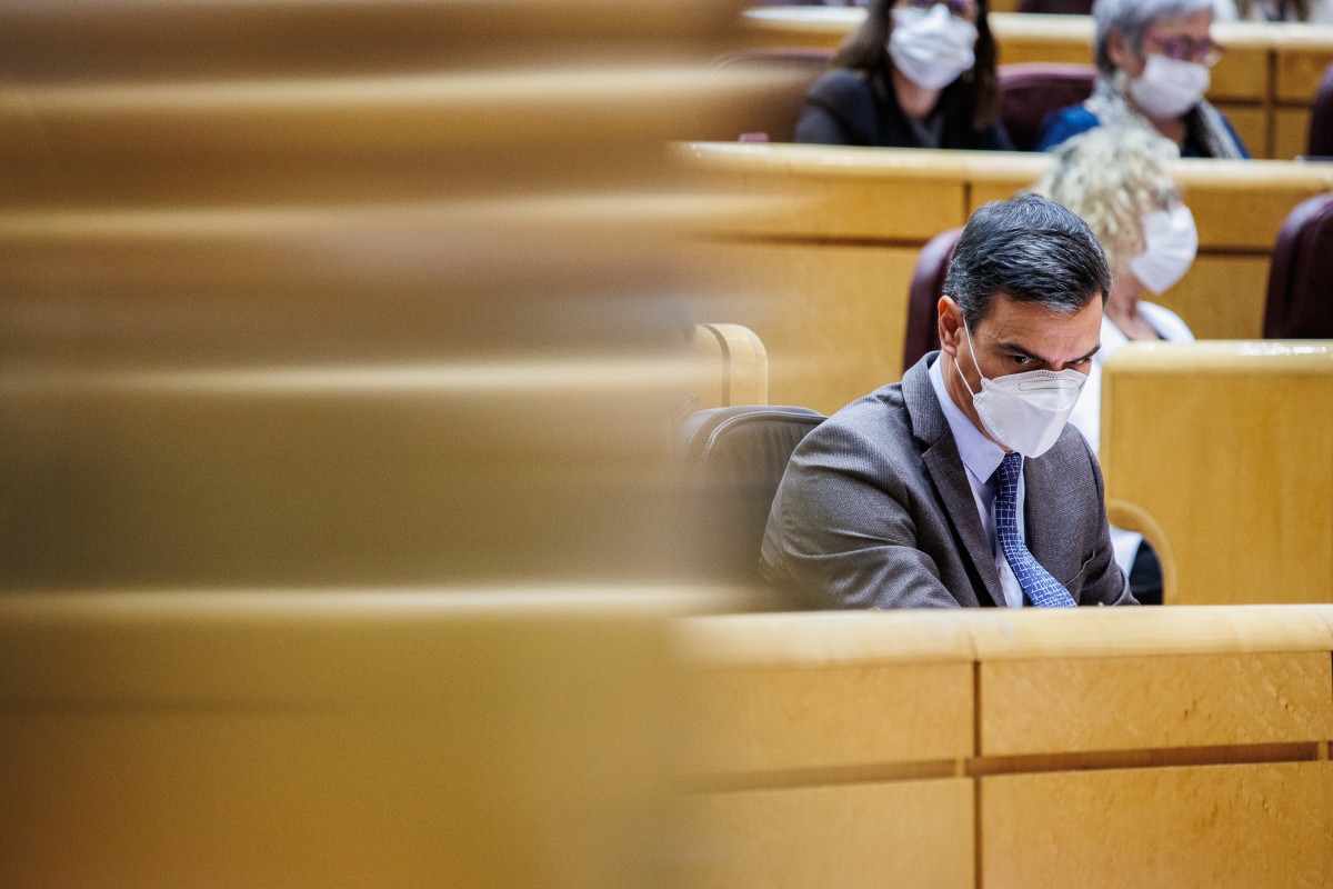 El president del Govern, Pedro Sánchez, en un ple al Senat, el 15 de febrer del 2022, a Madrid (Espanya). El president del Govern ha tornat a una sessió de control de Govern al Senat, després del desembre de l'any passat, on s'ha sotmès