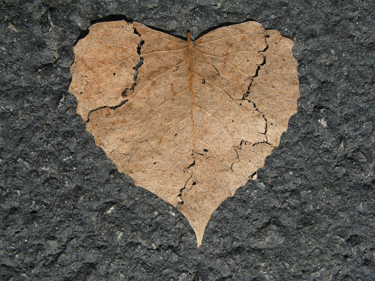 Heart gfccf40f57 1920