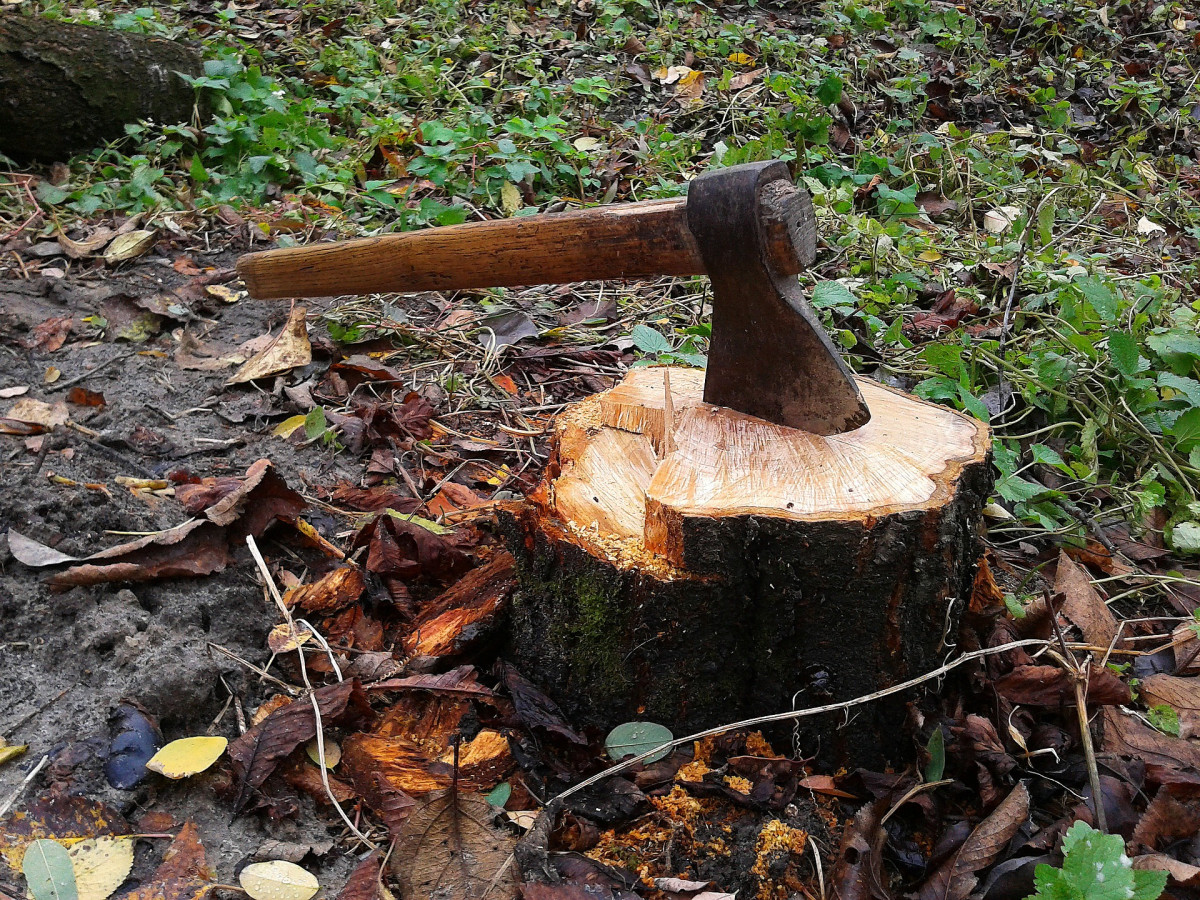 Axe ga26ee09dc 1920