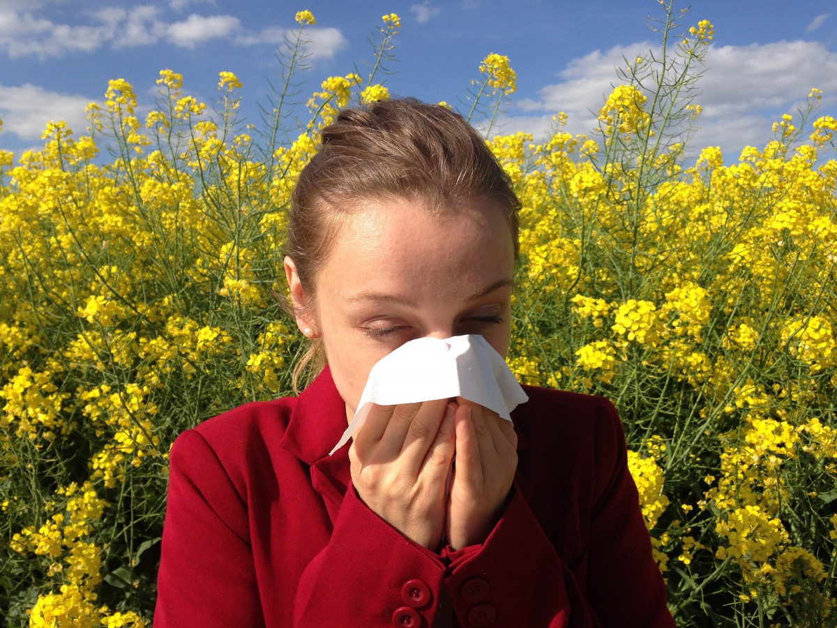 Allergy g20b66c674 1920
