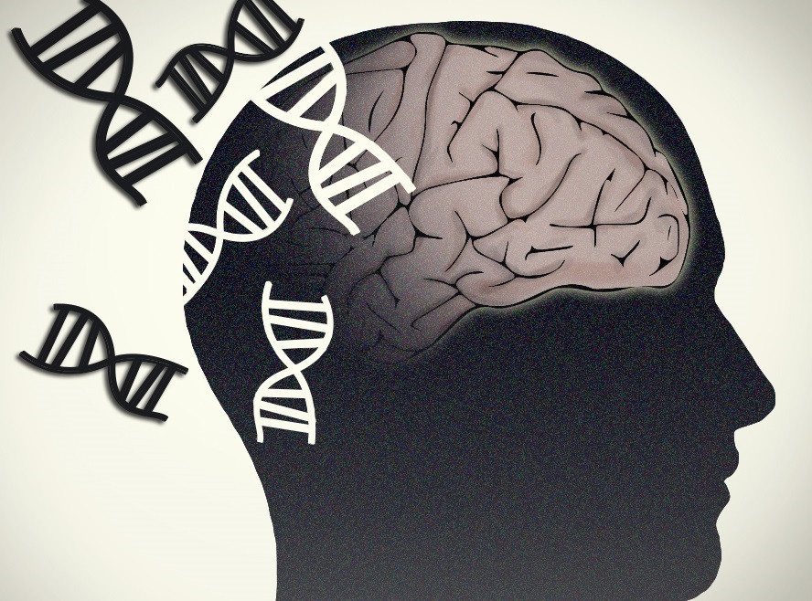Arxiu - Alzheimer, Parkinson. Cervell i genètica.