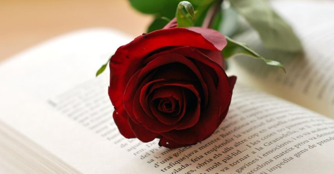 LLIBRES