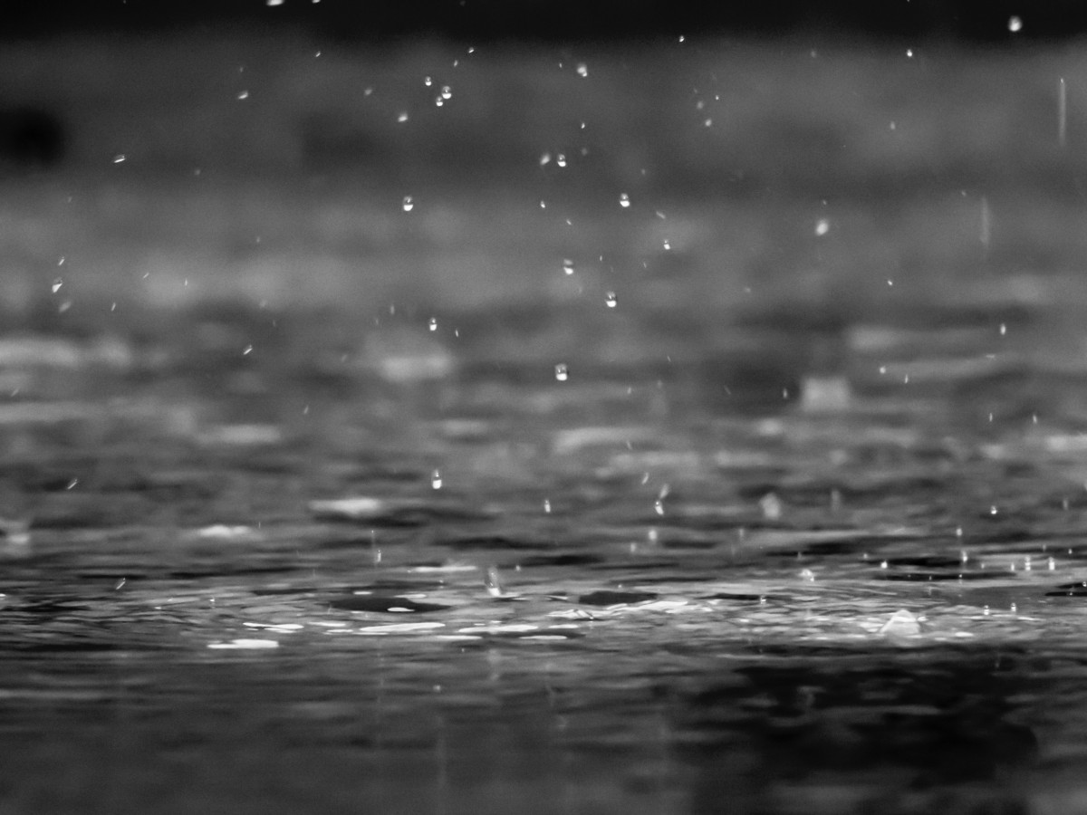 Resa shayestehpour Nw D8v79PM4 unsplash