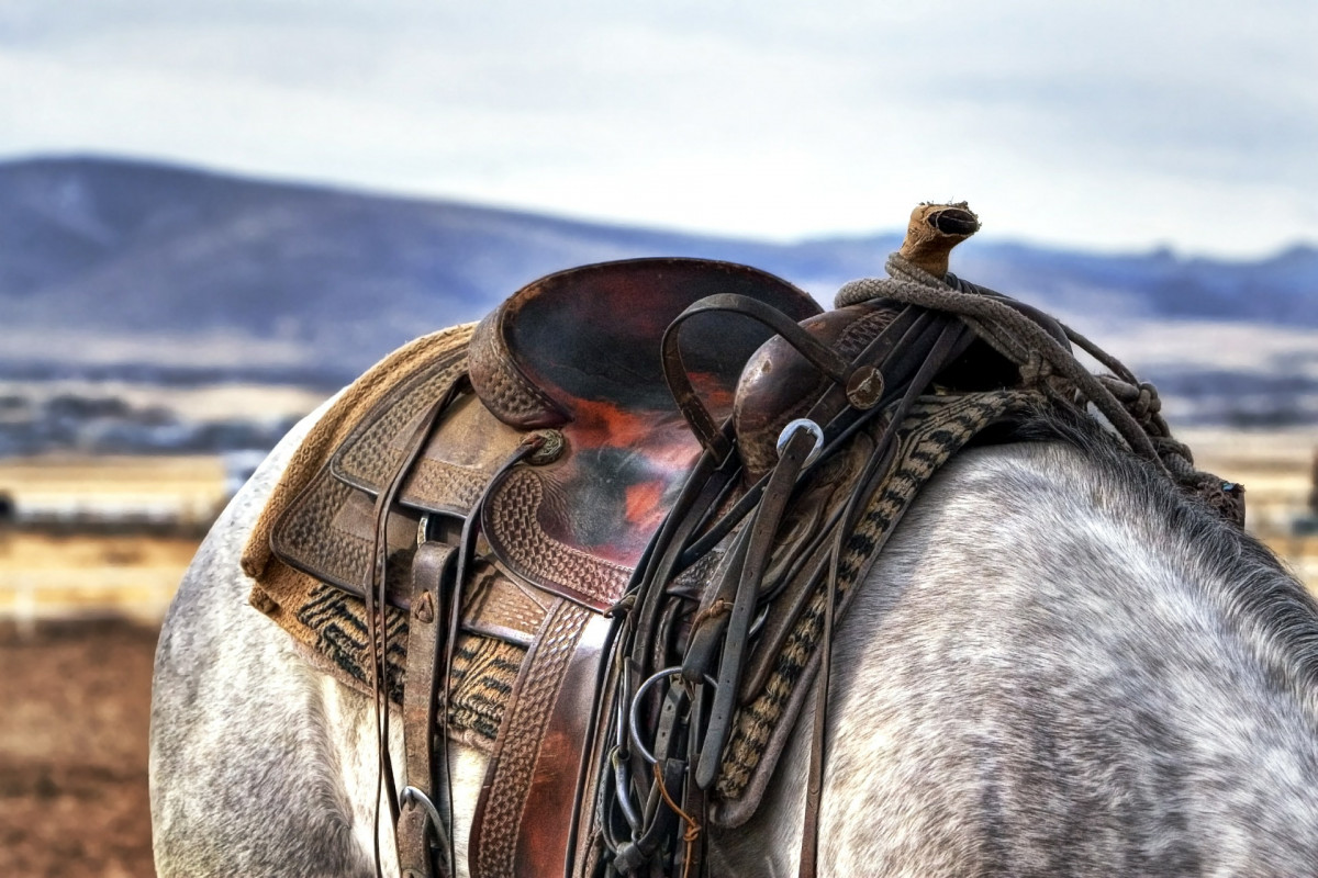Saddle g8d4881606 1920
