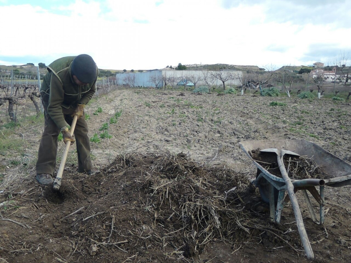 Treballador agrari, treball agrari, cultivar, cultiu, cultivant, cultius, atzar, aixant, treball al camp, treball de camp, cavar, cavant, cavador, ancià, ancians, agricultura, agricultor, agricultors,