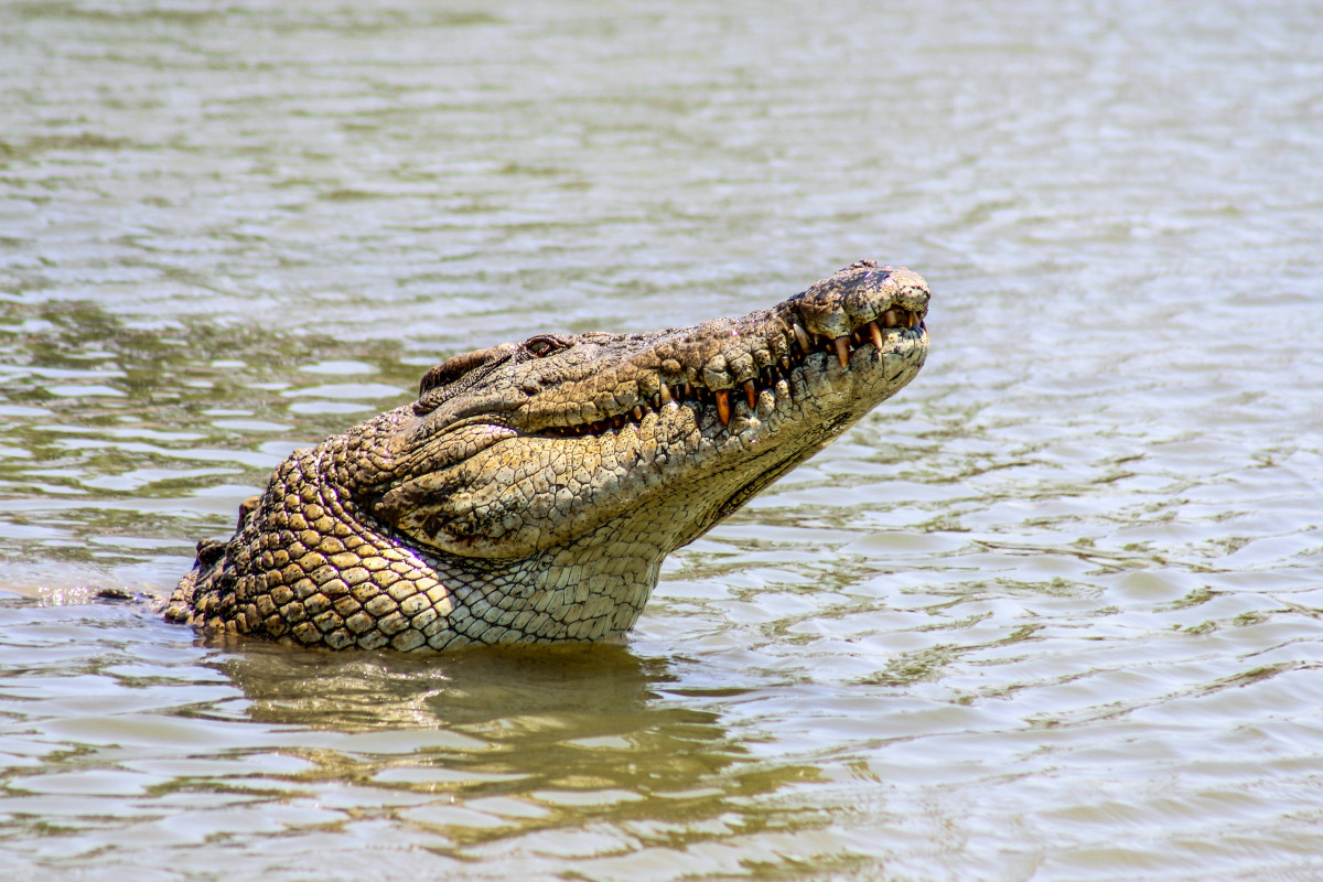 Daniel pelaez duc 0P9CQ0ctNGs unsplash
