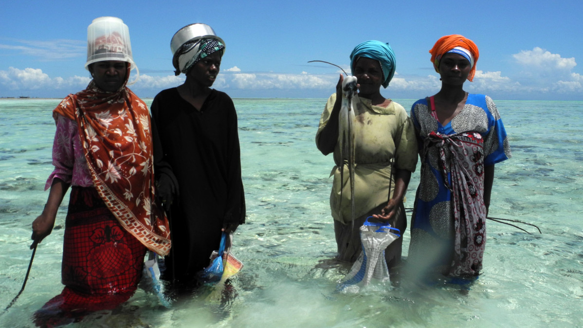 9 pescadores