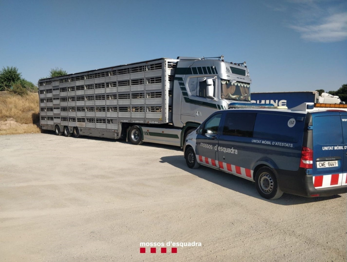 Control de trànsit destinat al transport de mercaderies