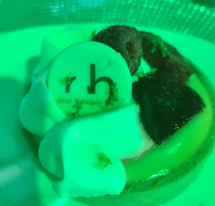 Postres