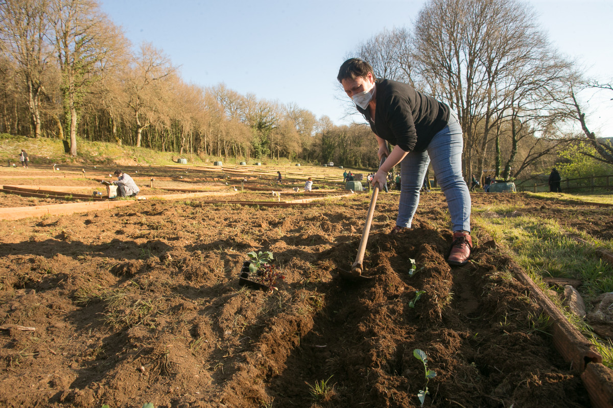 Arxiu - Imatge darxiu duna dona treballant al seu hort.