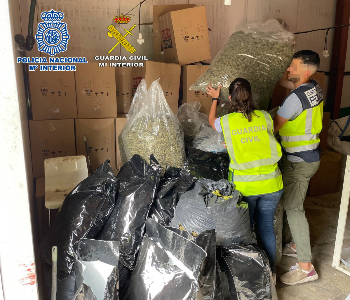 La Policia Nacional i la Guàrdia Civil confisquen a Vilassar de Mar (Barcelona) la partida més gran de marihuana intervinguda a Espanya, amb sis tones.