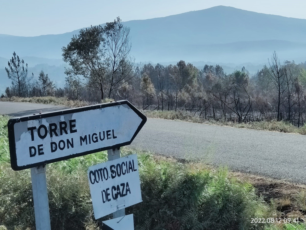 Zona afectada per l'incendi a Sierra de Gata