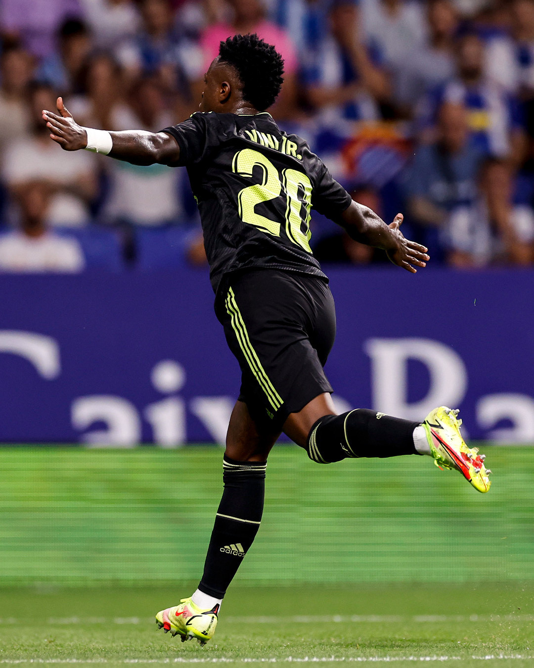 Vinicius