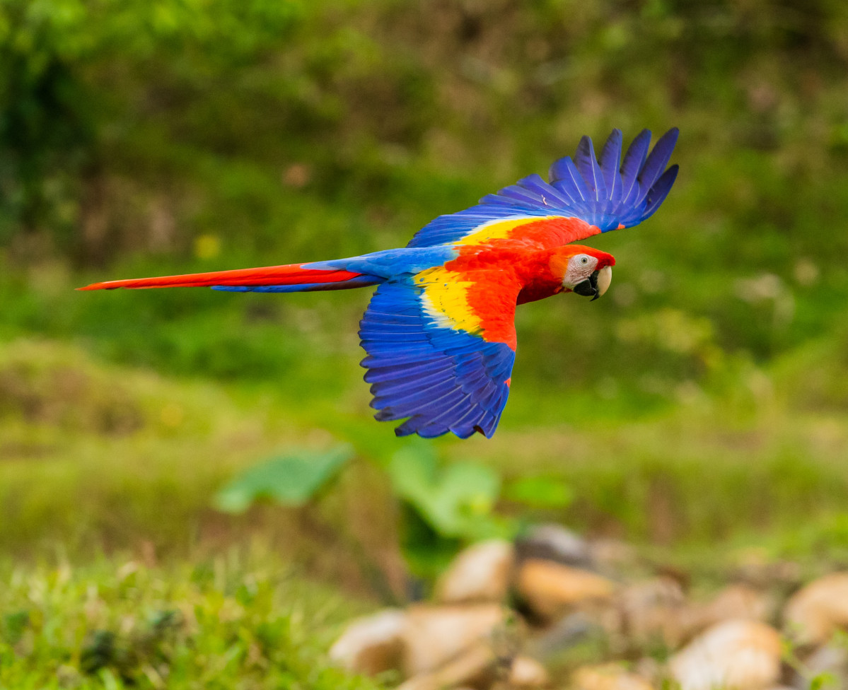 Zdenek machacek P4n7NQNOmFU unsplash