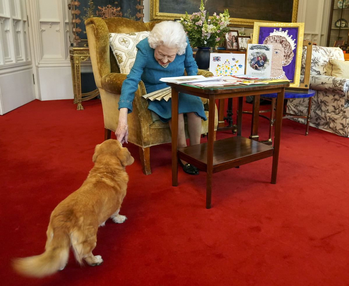 EuropaPress 4233957 04 february 2022 united kingdom windsor queen elizabeth ii pets one of her