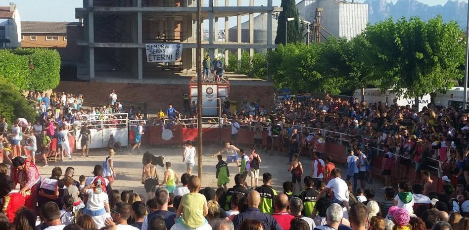 Catalunyapress vaquetssantpedor