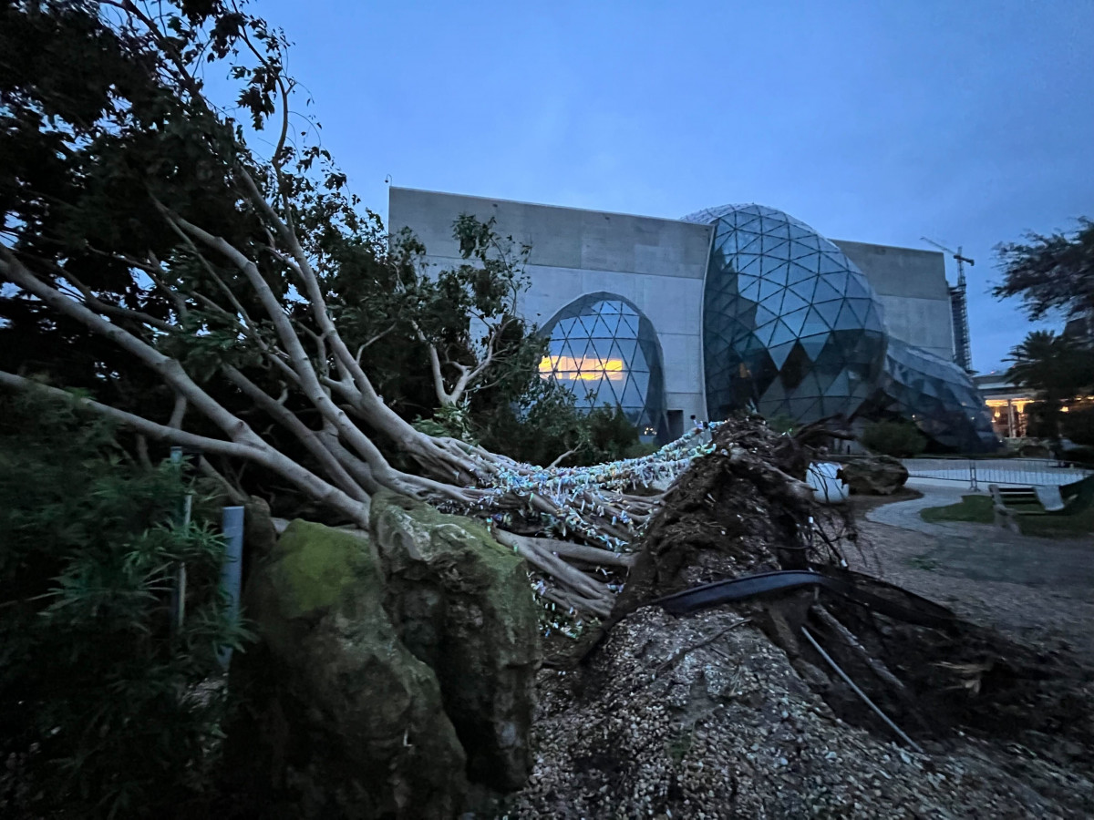 EuropaPress 4713162 29 september 2022 us stpetersburg the seu called wishing tree at the dali