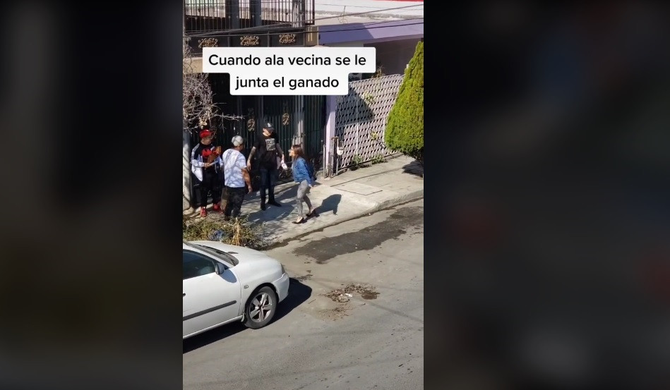 Catalunya press veïna