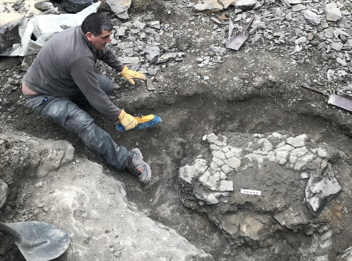 EuropaPress 4817520 restes fossils jaciment just procés extracció