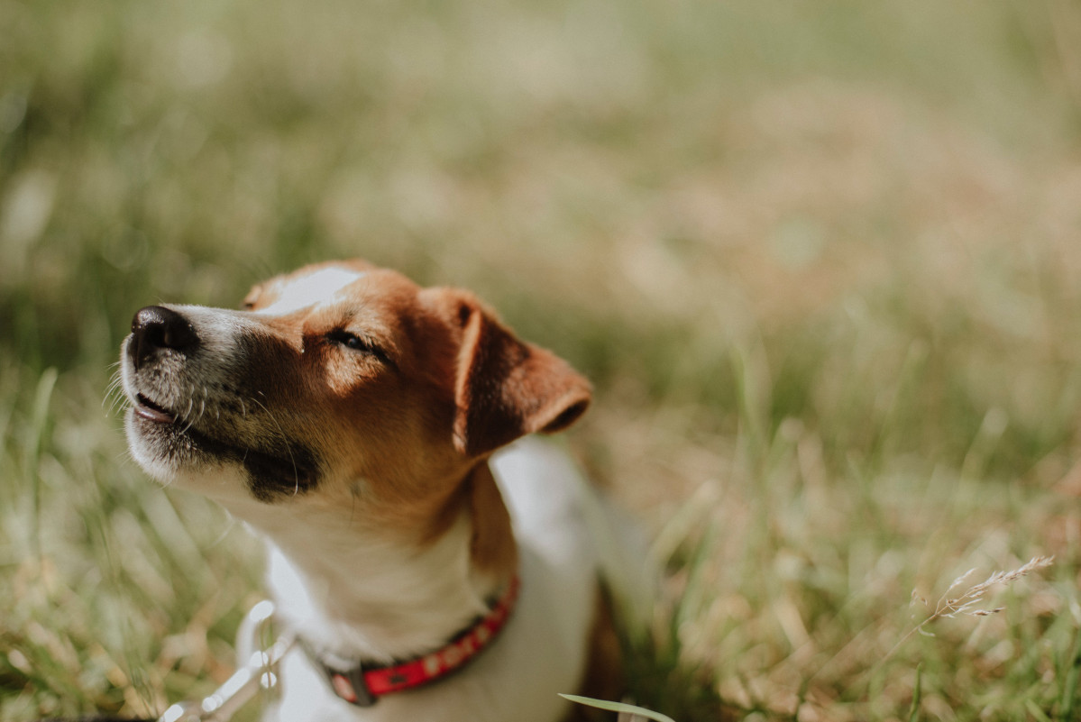 Juli kosolapova QKia1nLUzZQ unsplash