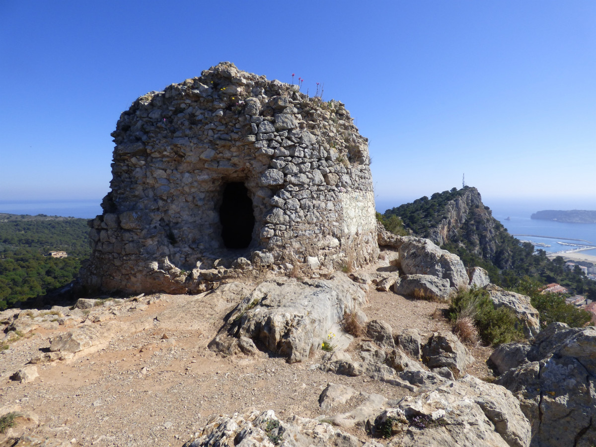 Catalunya press torre