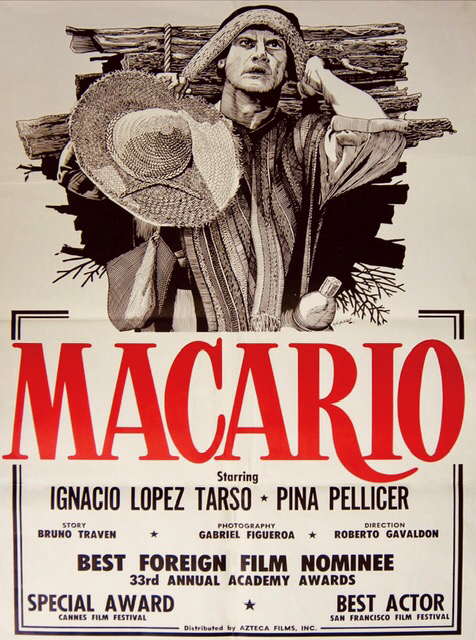 Macari