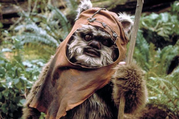 Ewok, star wars