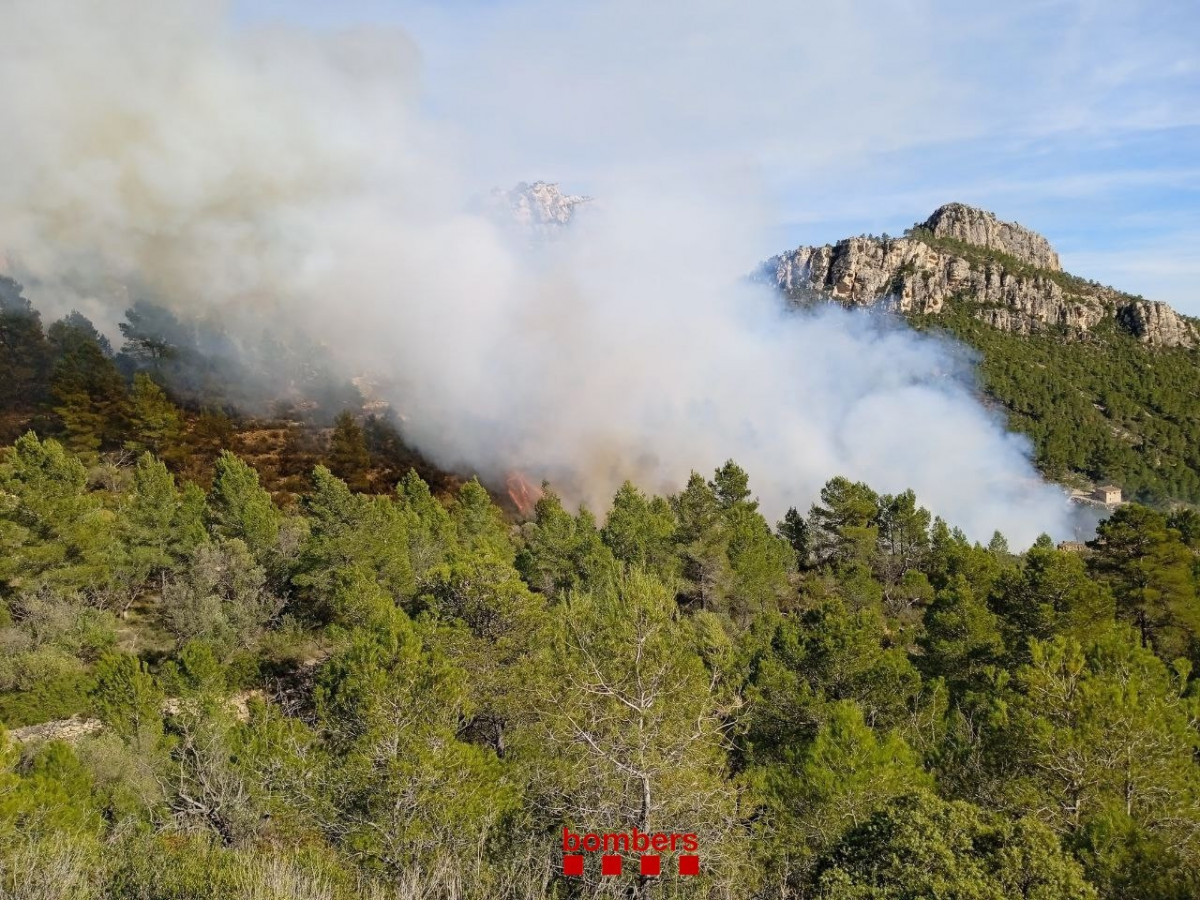 Els Bombers treballen amb 19 dotacions en un incendi entre Xerta i Paüls (Tarragona)