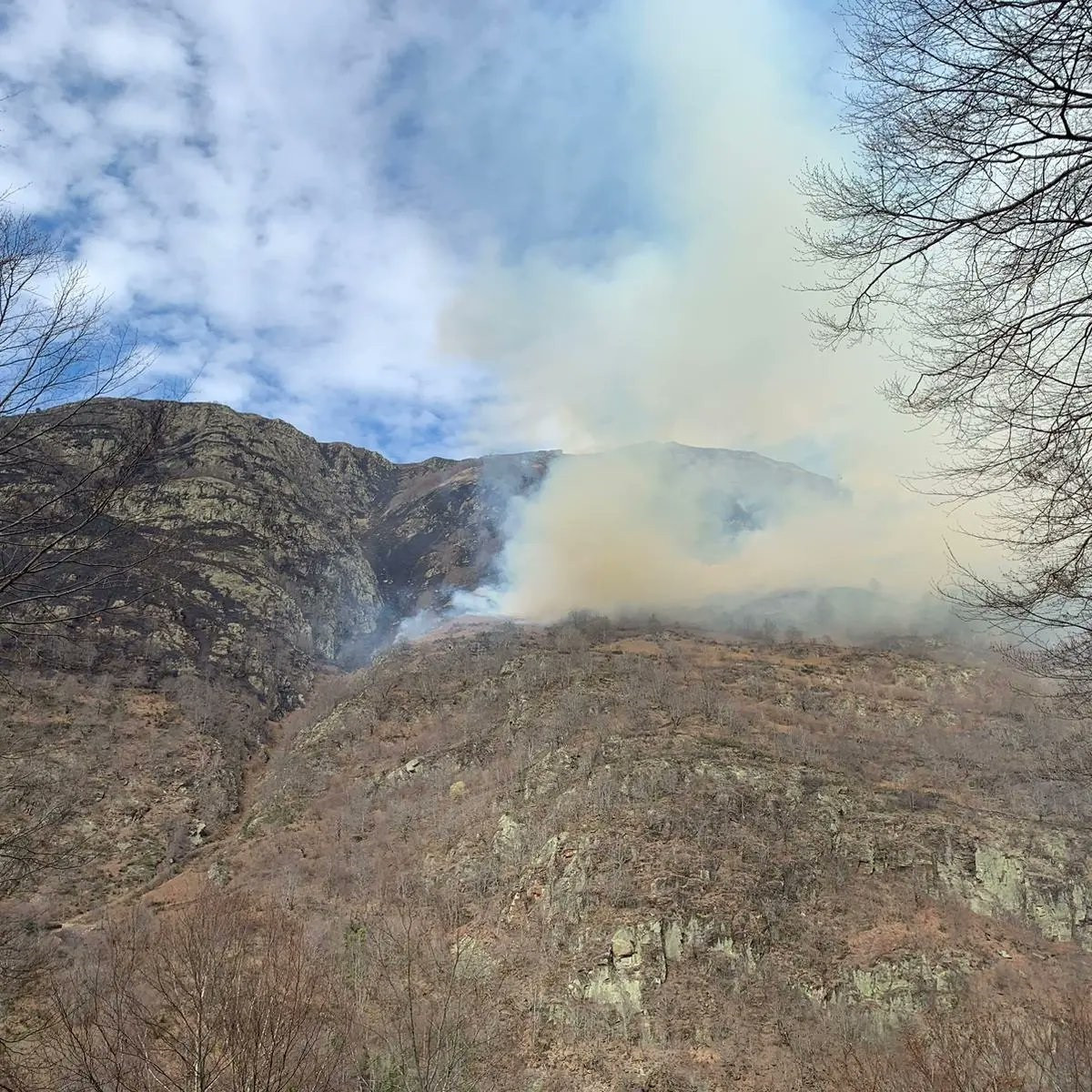 EuropaPress 5073148 incendi canegen lleida