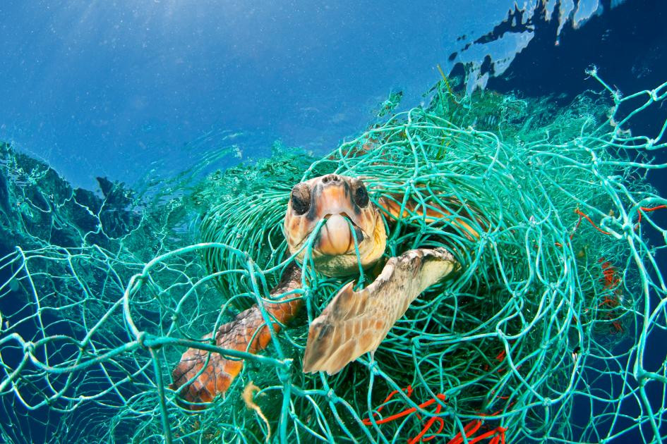 Catalunyapress plasticoceans