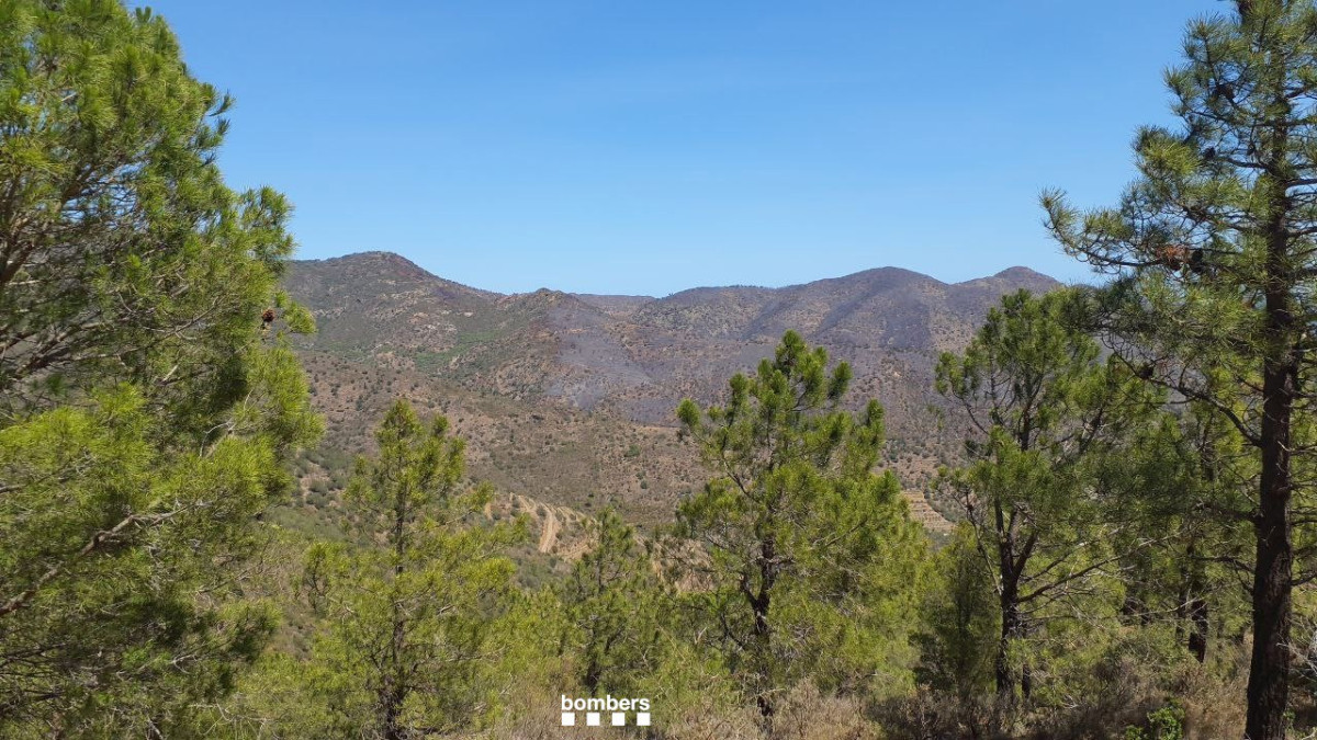 Els Bombers controlen l'incendi forestal que crema des de divendres a Portbou (Girona)