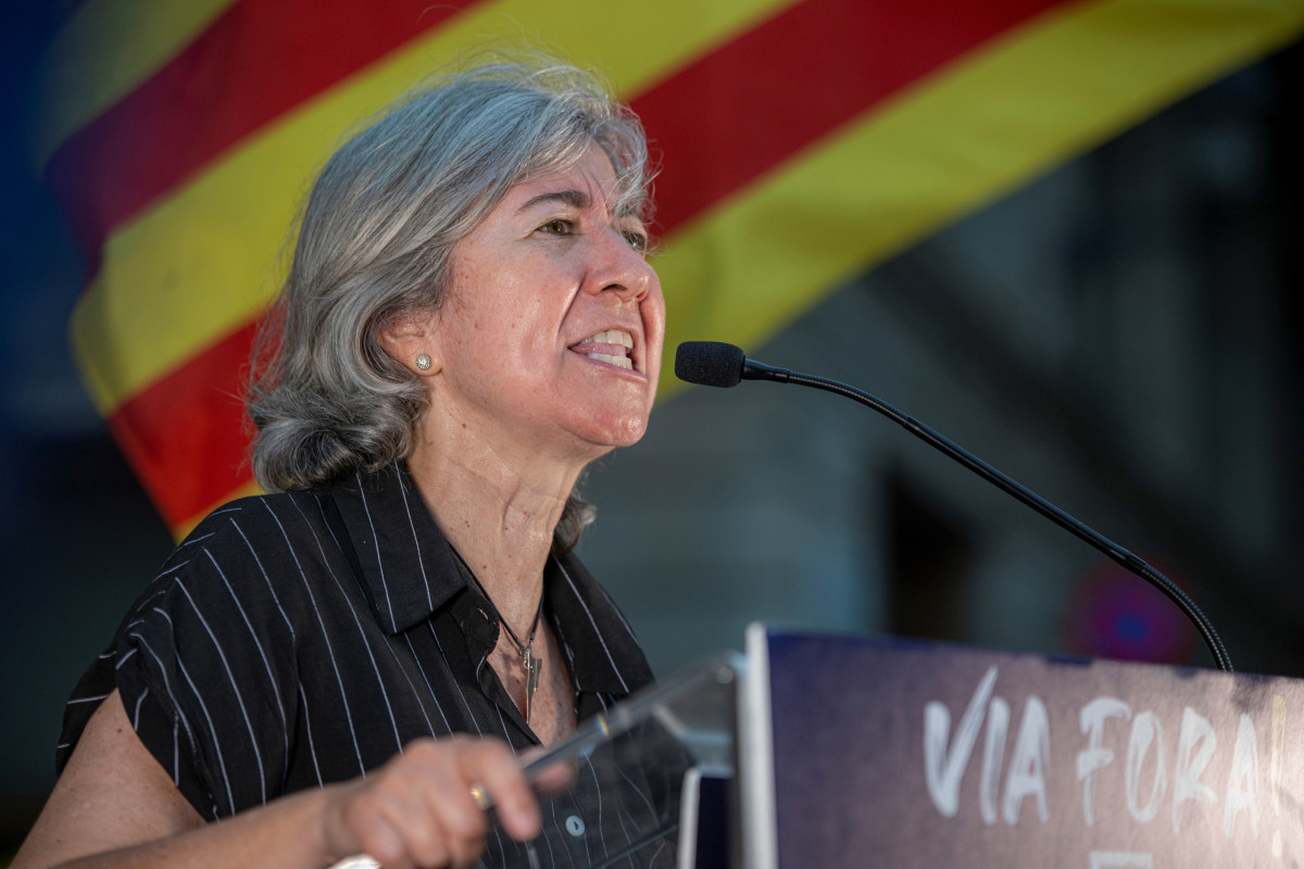 Arxiu - La presidenta de l'ANC, Dolors Feliu
