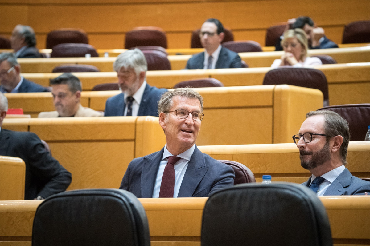 EuropaPress 5205016 president pp alberto nunez feijoo portaveu partit popular senat javier