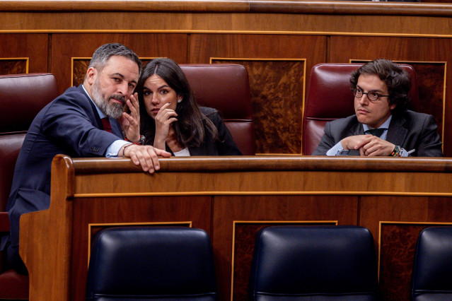 (I-D) El president de VOX, Santiago Abascal; la portaveu de VOX al Congrés, Pepa Millán i el diputat de VOX, José María Figaredo, durant un ple a la Cambra Baixa, a 11 de febrer de 2025, a Madrid (Espanya).
