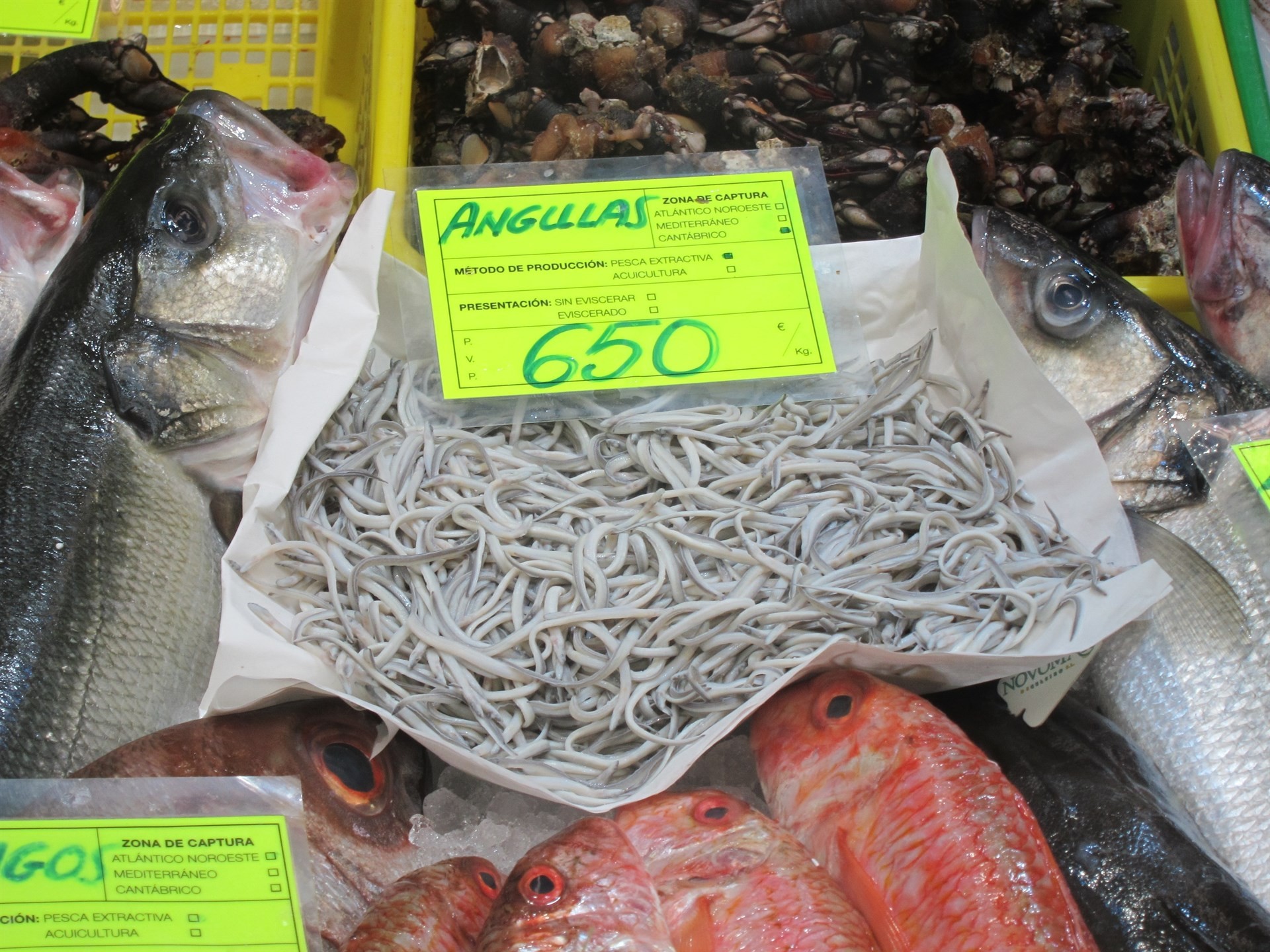 angules