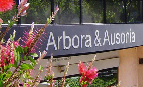 arbora ausonia