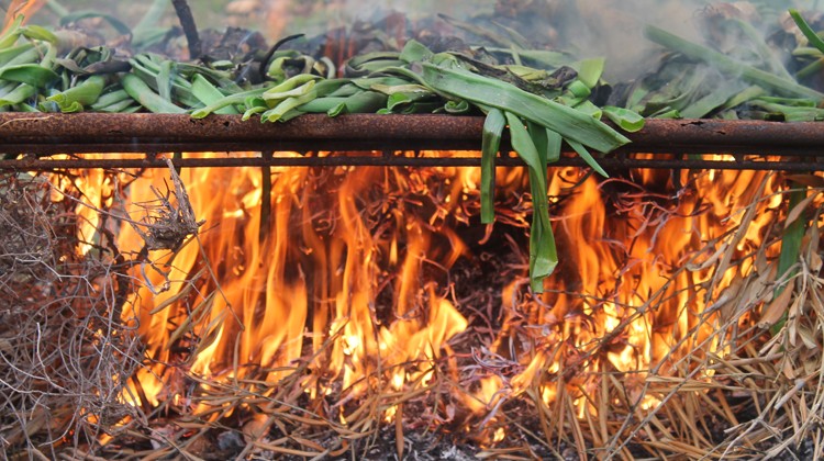 barbacoa
