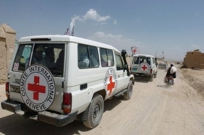 Cruzroja maig