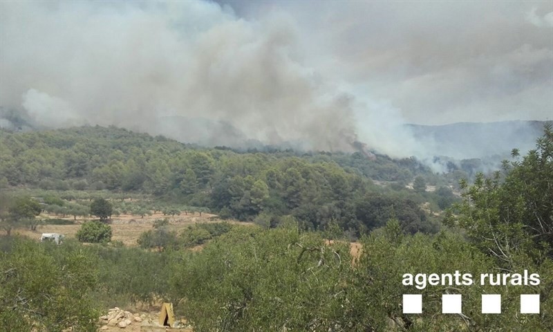 incendi