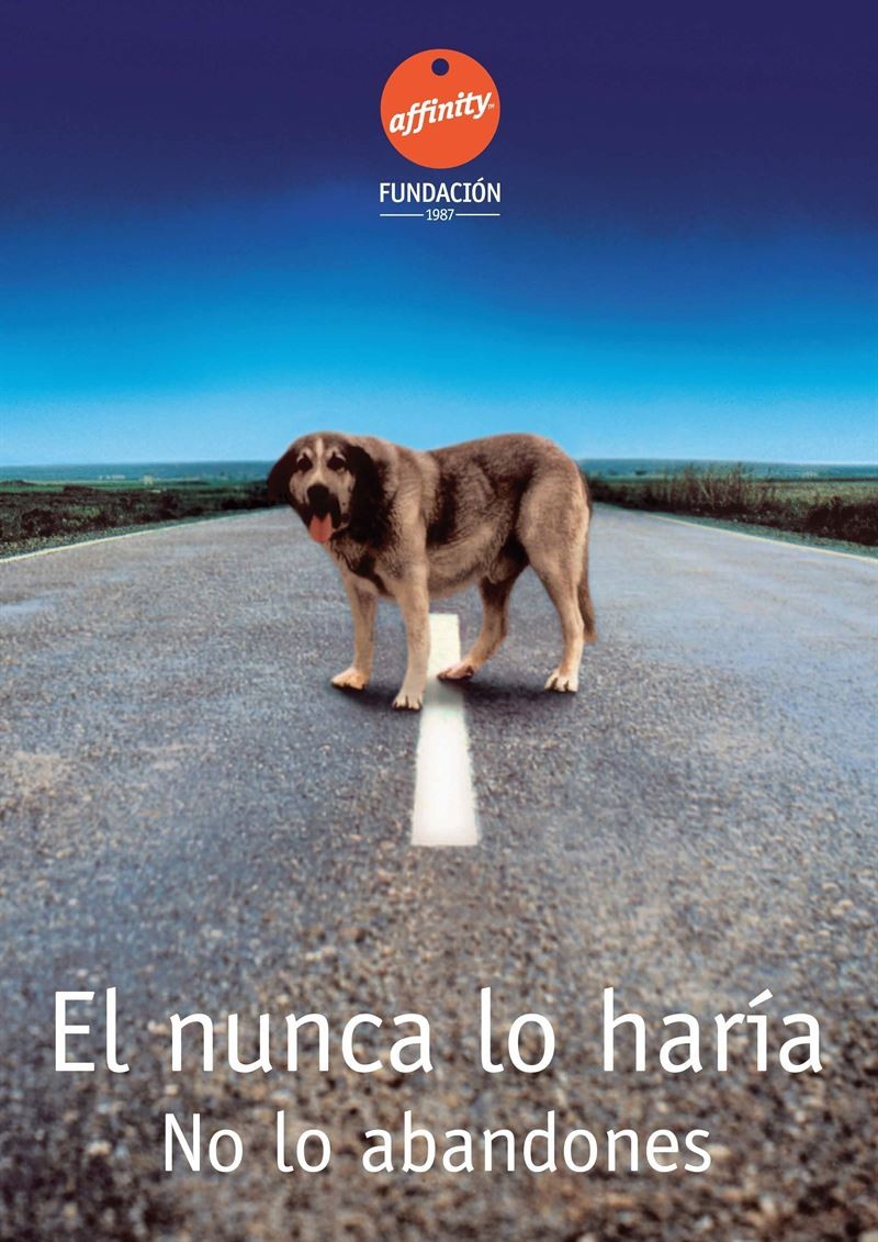mascotes abandonament