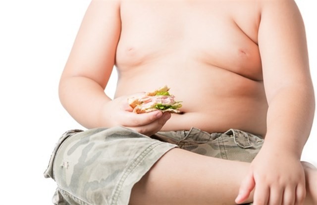 obesitat 2