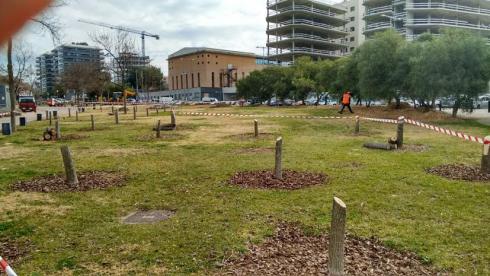 Tala indiscriminada d'arbres al Parc de la Fontsanta de Sant Joan Despí
